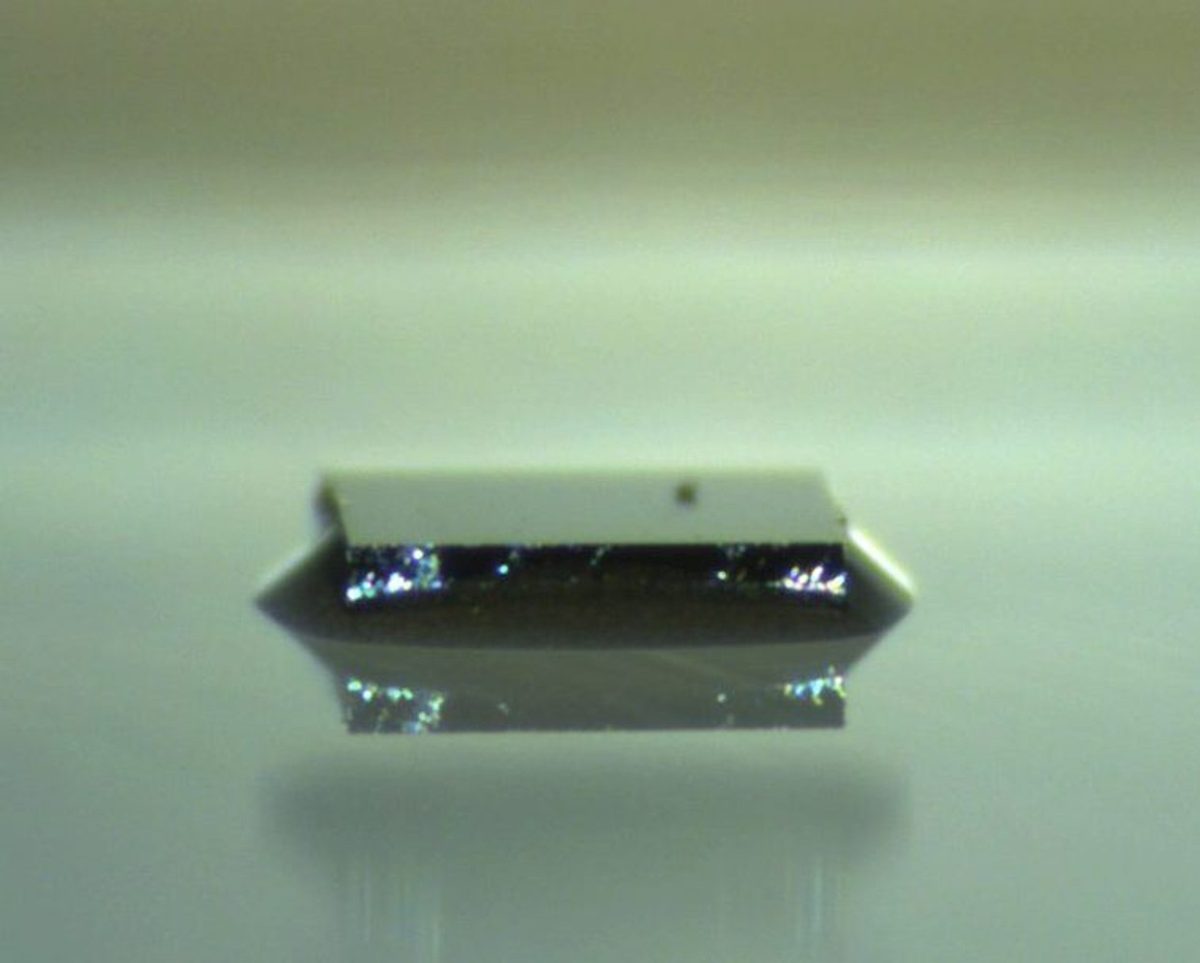 csm_blog_19_fillet_c83b2cfae4